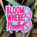 BLOOM WHERE PLANTED - Decal