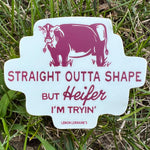 STRAIGHT OUTTA SHAPE - Decal